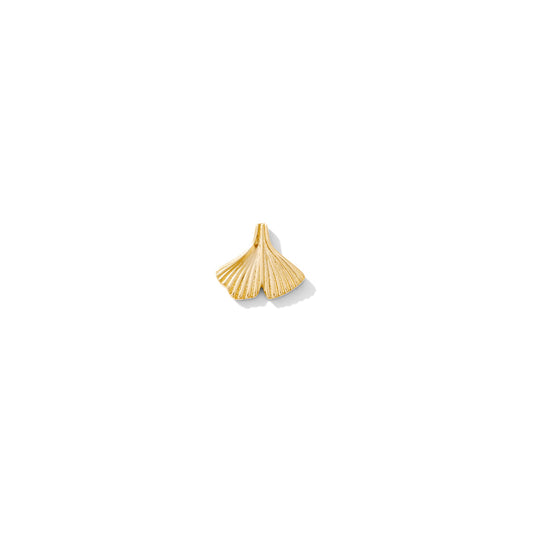 Ginkgo