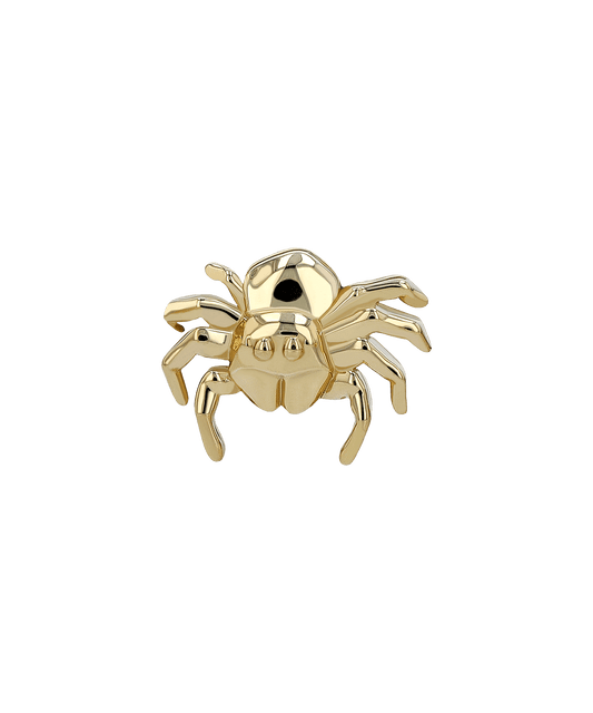 Jumping Spider