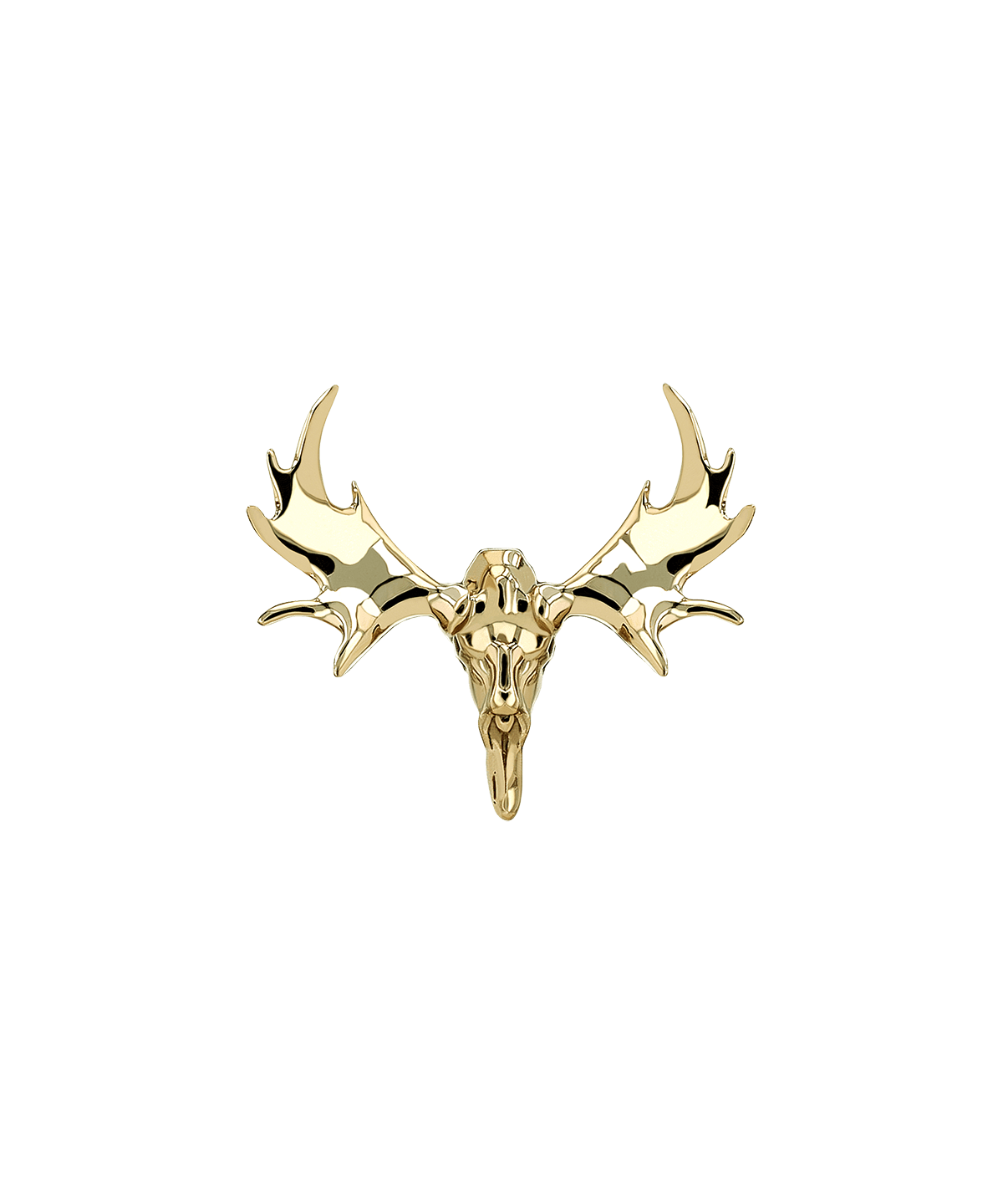 Moose Skull