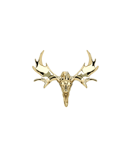 Moose Skull