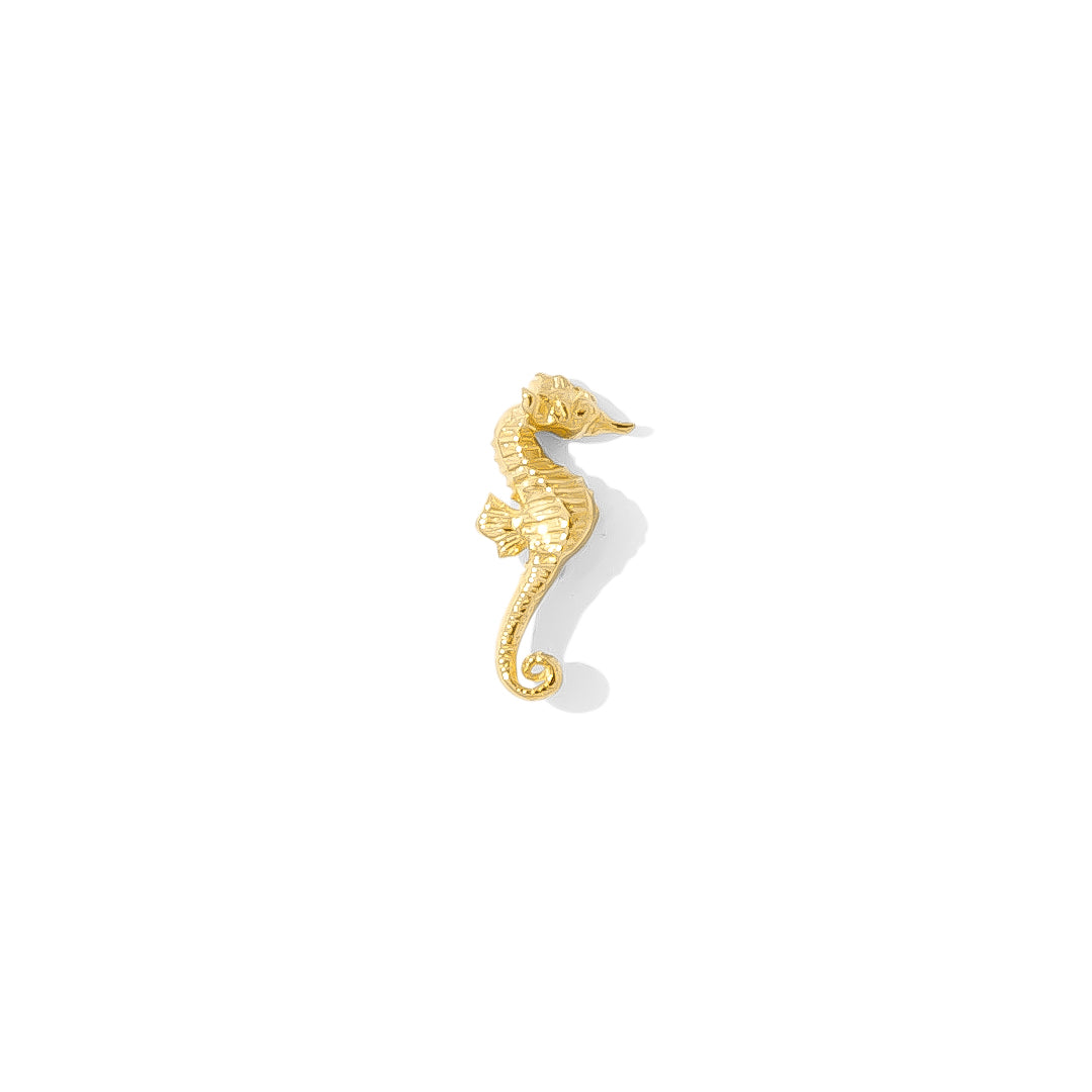 Seahorse