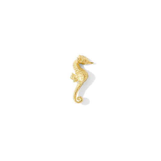 Seahorse